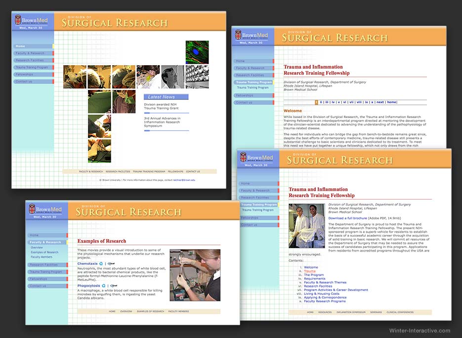 Rhode Island Surgical Research website design and development Winter Interactive Inc